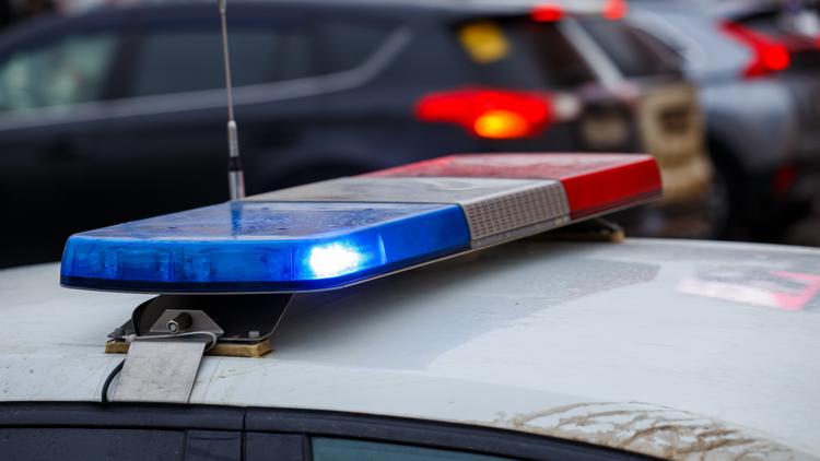 Dayton ISD bus driver arrested after student seriously injured in suspected hit-and-run, police say — KHOU 11 (Houston), New York Schools news