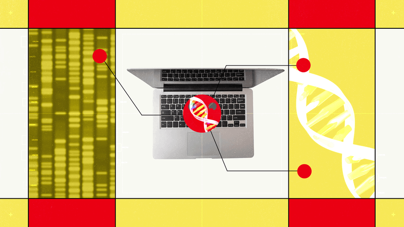 Hugging Face’s New AI Biology Model Lets You Chat With DNA — Wired, New York Technology news